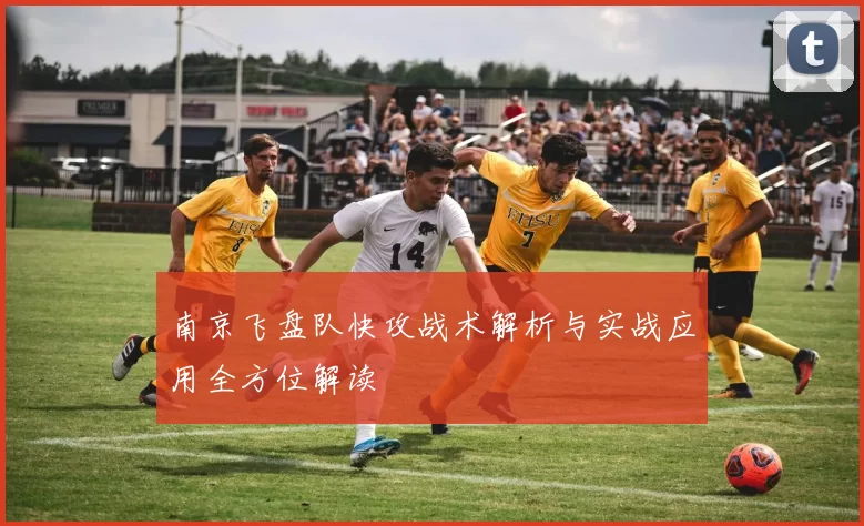 南京飞盘队快攻战术解析与实战应用全方位解读