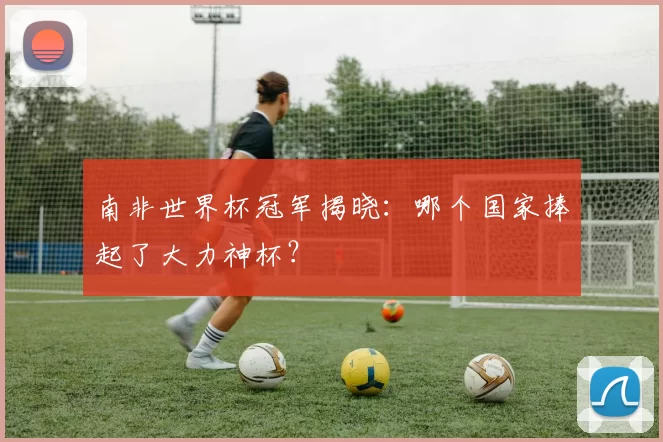 南非世界杯冠军揭晓：哪个国家捧起了大力神杯？