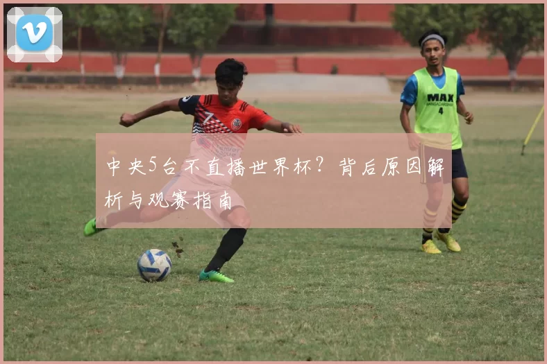 中央5台不直播世界杯？背后原因解析与观赛指南