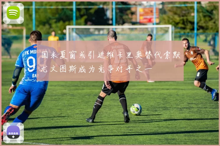 国米夏窗或引进维卡里奥替代索默尤文图斯成为竞争对手之一