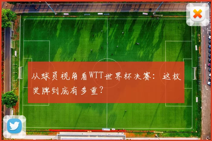 从球员视角看WTT世界杯决赛:这枚奖牌到底有多重?