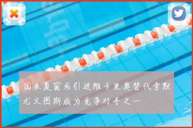 国米夏窗或引进维卡里奥替代索默尤文图斯成为竞争对手之一
