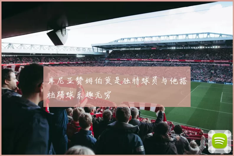 库尼亚赞姆伯莫是独特球员与他搭档踢球乐趣无穷