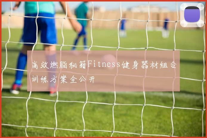 高效燃脂秘籍Fitness健身器材组合训练方案全公开