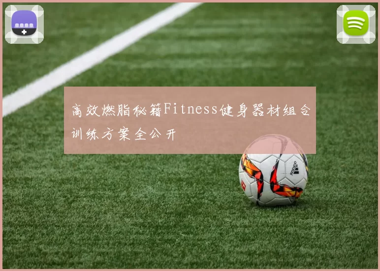 高效燃脂秘籍Fitness健身器材组合训练方案全公开