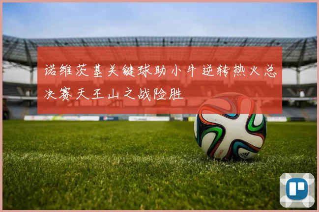 诺维茨基关键球助小牛逆转热火总决赛天王山之战险胜