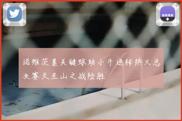 诺维茨基关键球助小牛逆转热火总决赛天王山之战险胜