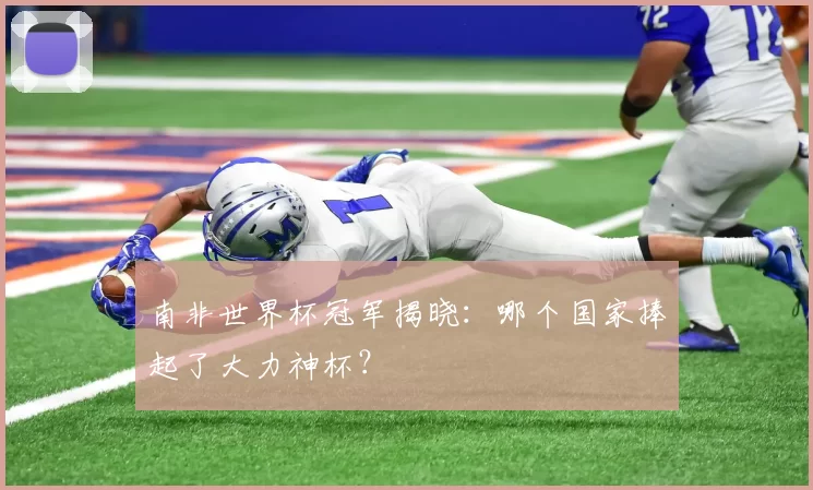 南非世界杯冠军揭晓:哪个国家捧起了大力神杯?