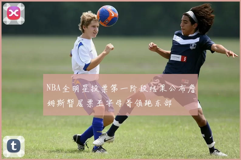 NBA全明星投票第一阶段结果公布詹姆斯暂居票王字母哥领跑东部