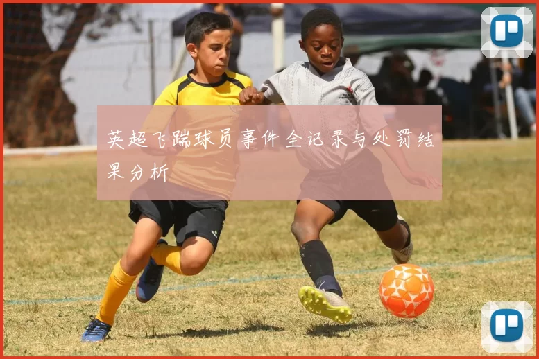 英超飞踹球员事件全记录与处罚结果分析
